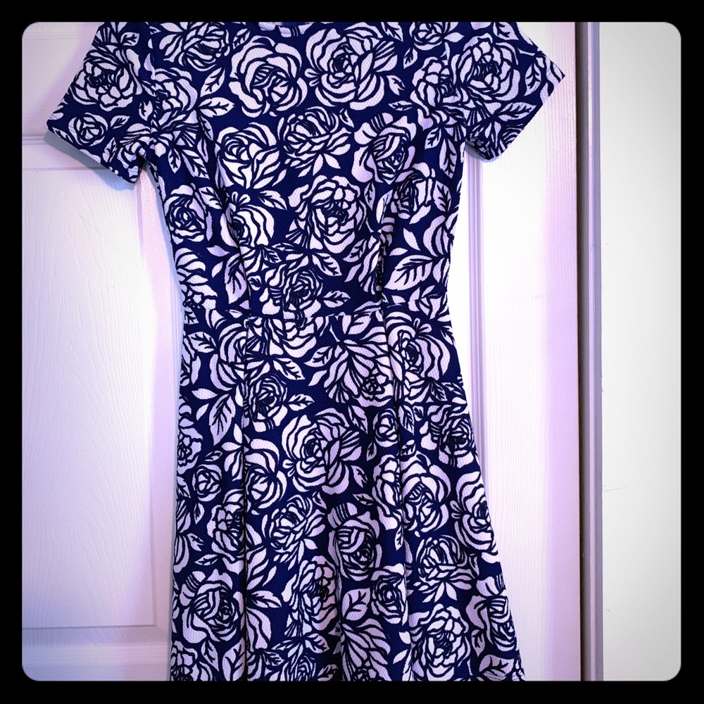 Forever 21 Blue and White Rose Dress